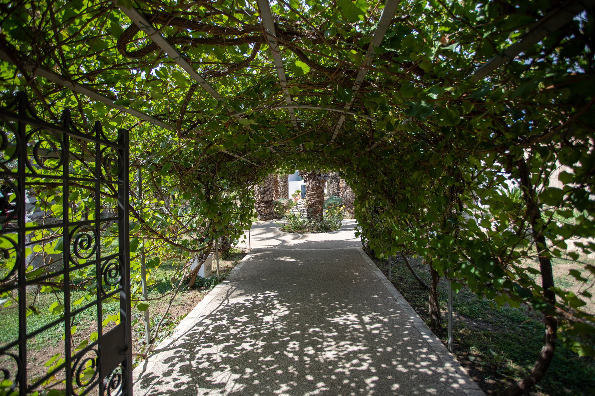 Il nostro giardino