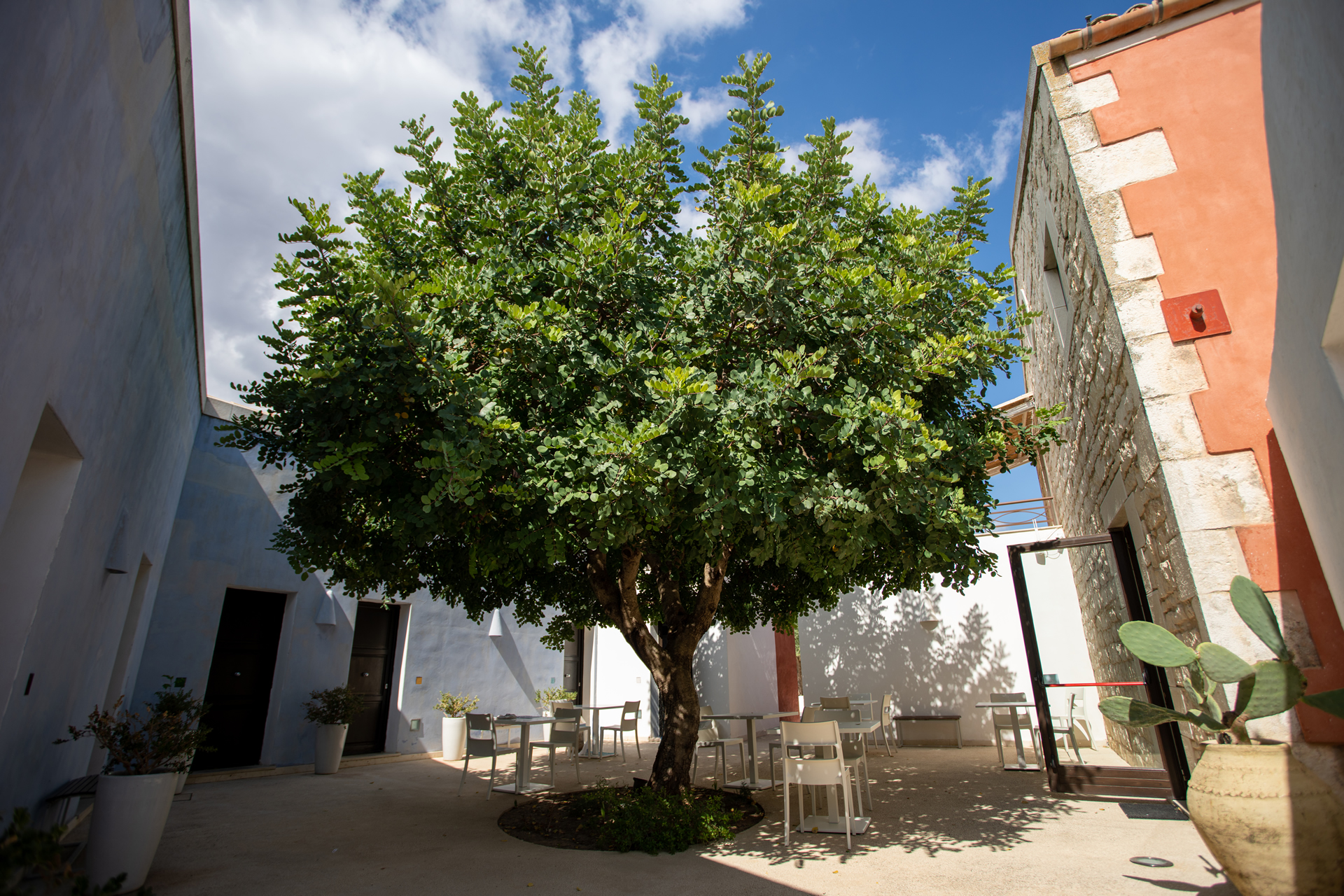 Il nostro giardino