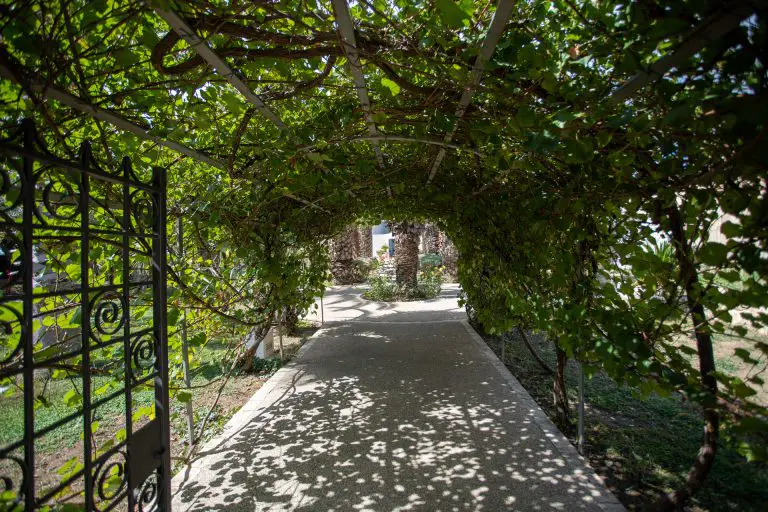 Il nostro giardino
