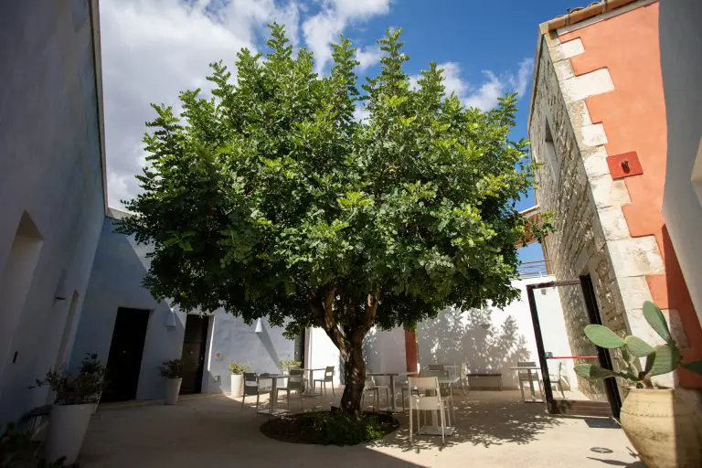 Il nostro giardino